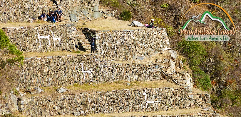 lamas of choquequirao