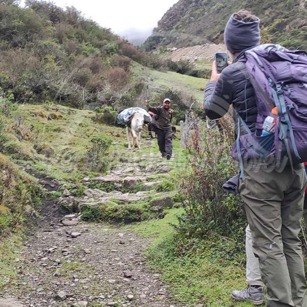 Los Arrieros de Choquequirao: guardianes del camino hacia la ciudad inca Los Arrieros de Choquequirao: guardianes del camino hacia la ciudad inca