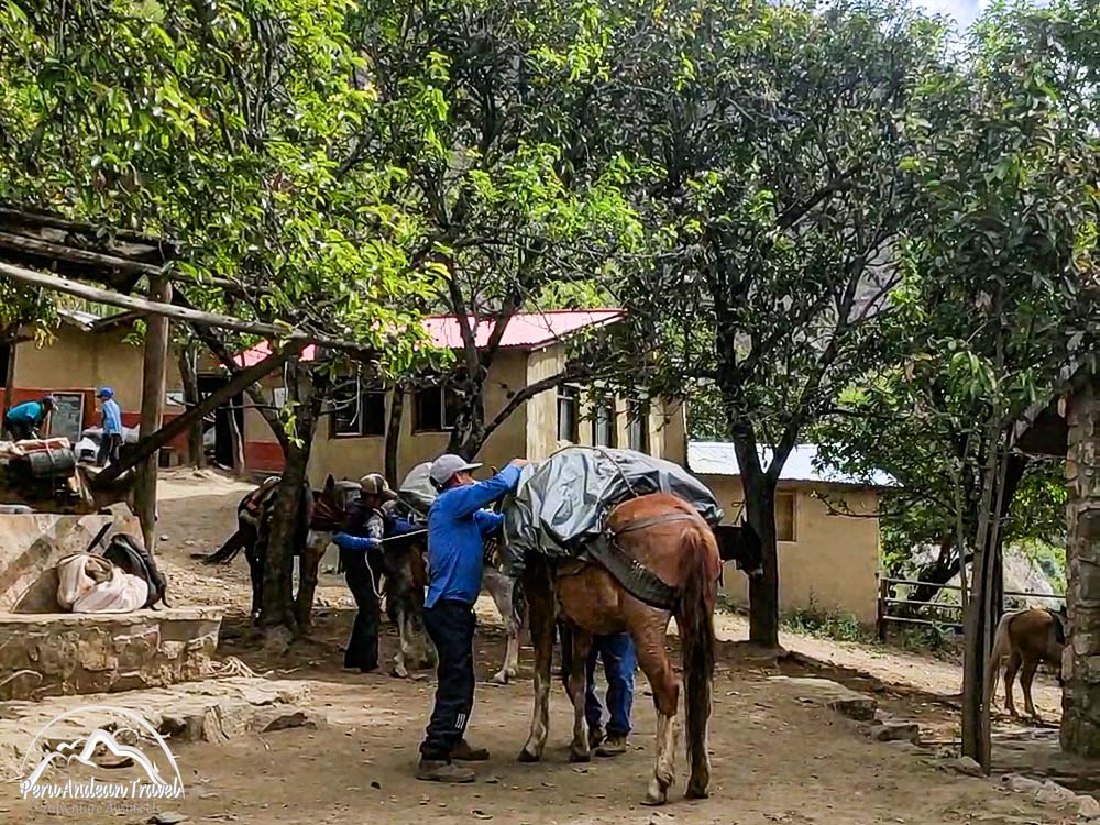 arrieros de choquequirao alistando los equipajes