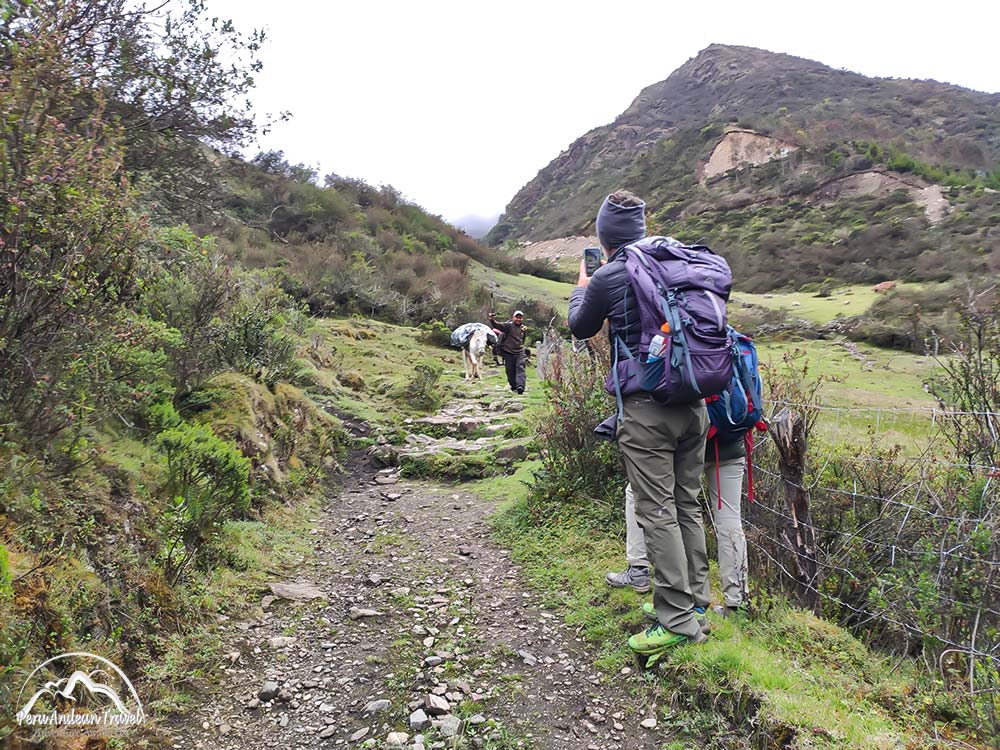 arrieros llegando al campamento en choquequirao