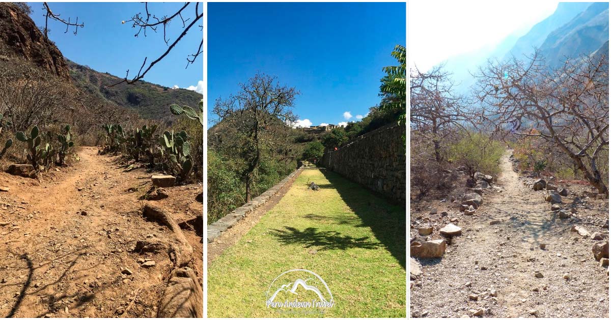 cambio de vegetacion en choquequirao