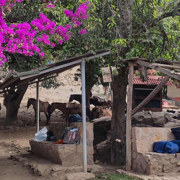 Choquequirao Trek Campsites Guide