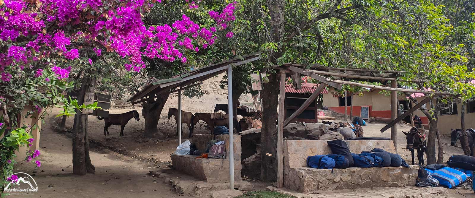 Campamentos en la Caminata a Choquequirao