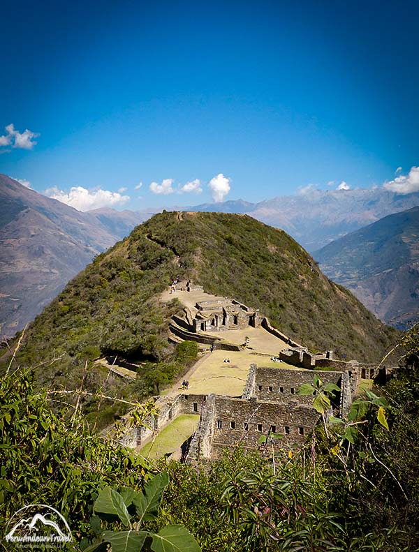 choquequirao cusco flora
