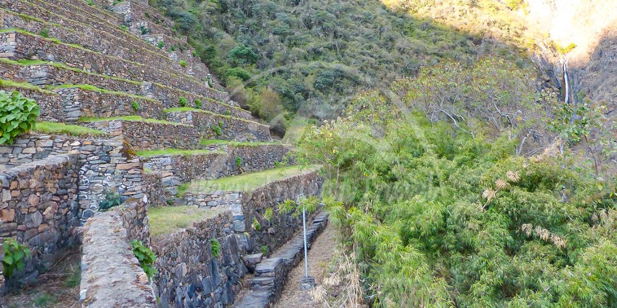 La Flora de Choquequirao Cusco: descubre la riqueza natural de los Andes peruanos