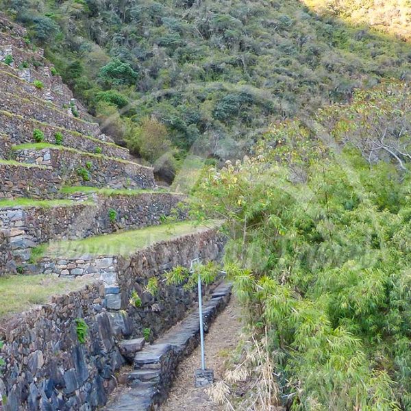La Flora de Choquequirao Cusco: descubre la riqueza natural de los Andes peruanos La Flora de Choquequirao Cusco: descubre la riqueza natural de los Andes peruanos
