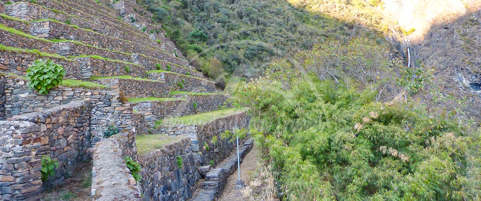 La Flora de Choquequirao Cusco: descubre la riqueza natural de los Andes peruanos