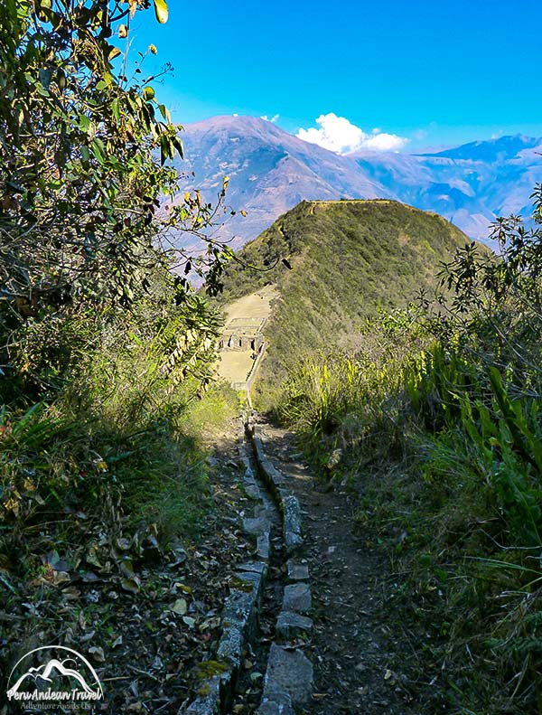 helechos en choquequirao
