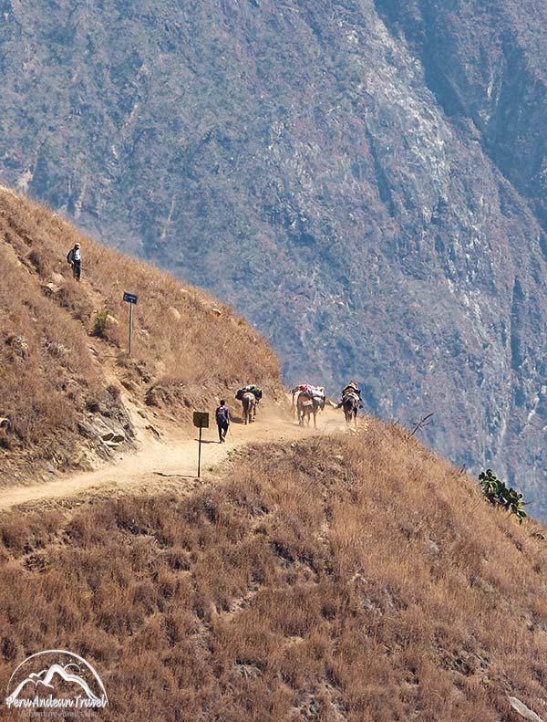 la fortaleza de los arrieros rumbo a choquequirao