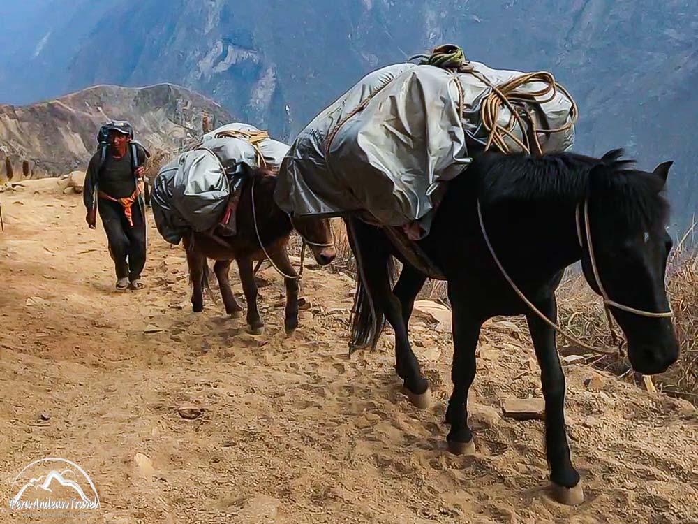 los arrieros de choquequirao una historia
